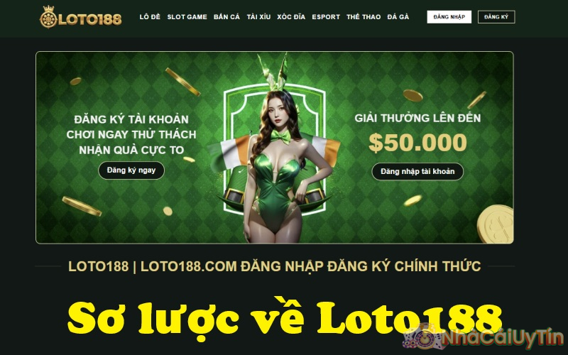 Sơ lược về nhà cái cá cược Loto188