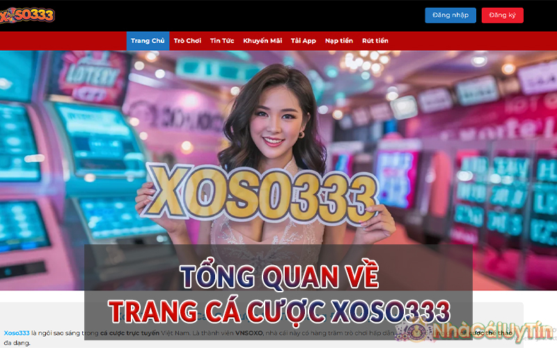 Tổng quan về trang cá cược Xoso333